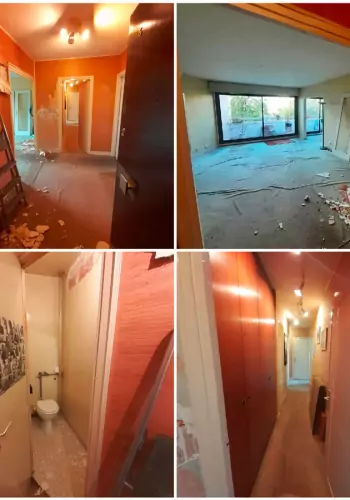 Rénovation complète d'un appartement à Chevilly-Larue image 3